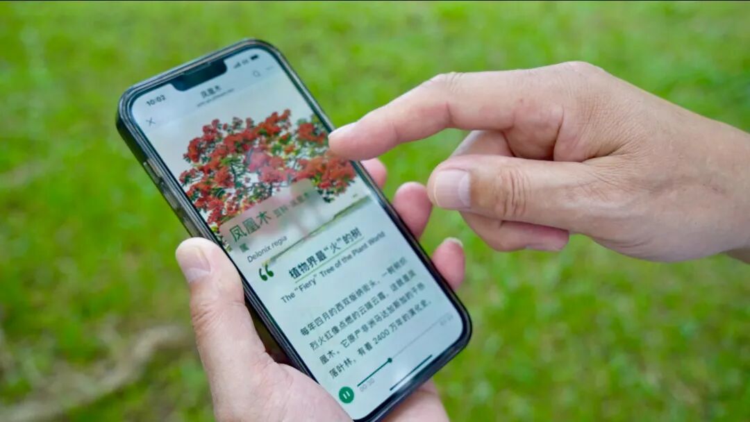 游客通过扫码打开“植物会说话”的页面(杨林凯摄).jpg