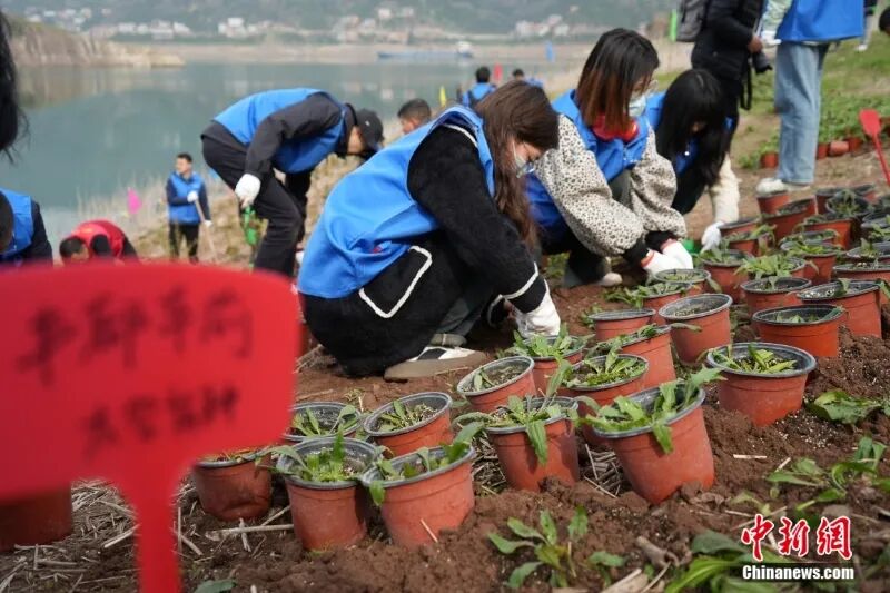 何以中国·当惊世界殊|人这一辈子,一定要去宜昌邂逅“长江精灵”