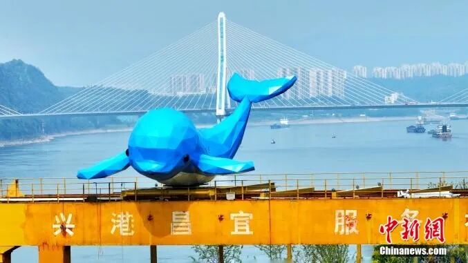 何以中国·当惊世界殊|人这一辈子,一定要去宜昌邂逅“长江精灵”
