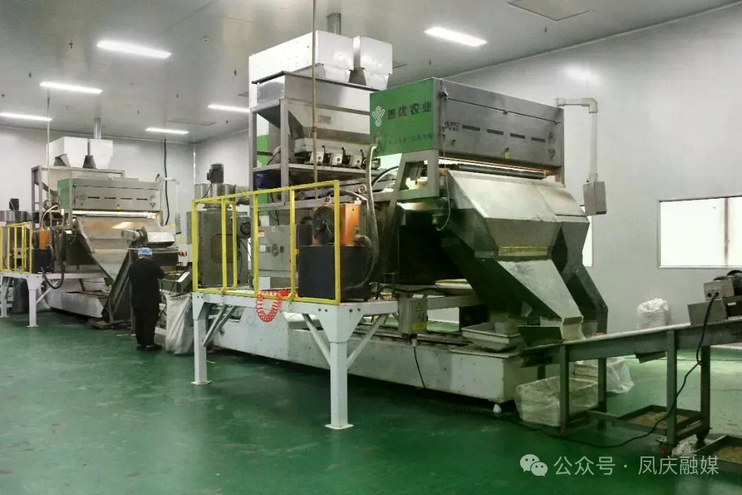 凤庆核桃加工厂(来源:凤庆融媒).JPG