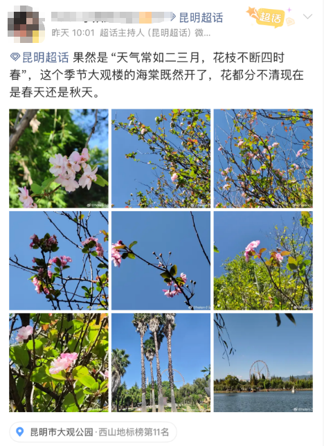 图片 2 图片 2