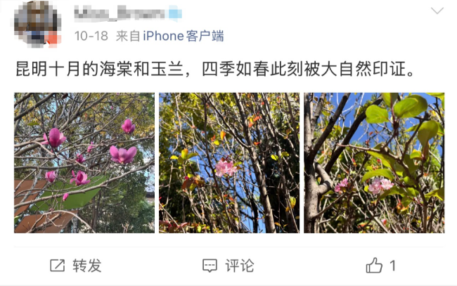 图片 1 图片 1