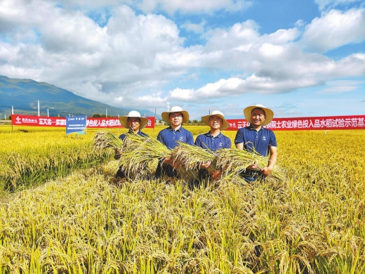 我省国资国企扎根基层一线——汇聚帮扶合力 扛起助农担当