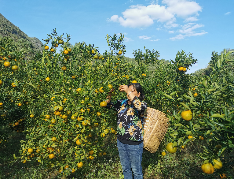 e6ee299363da1490b227489959e50b6e