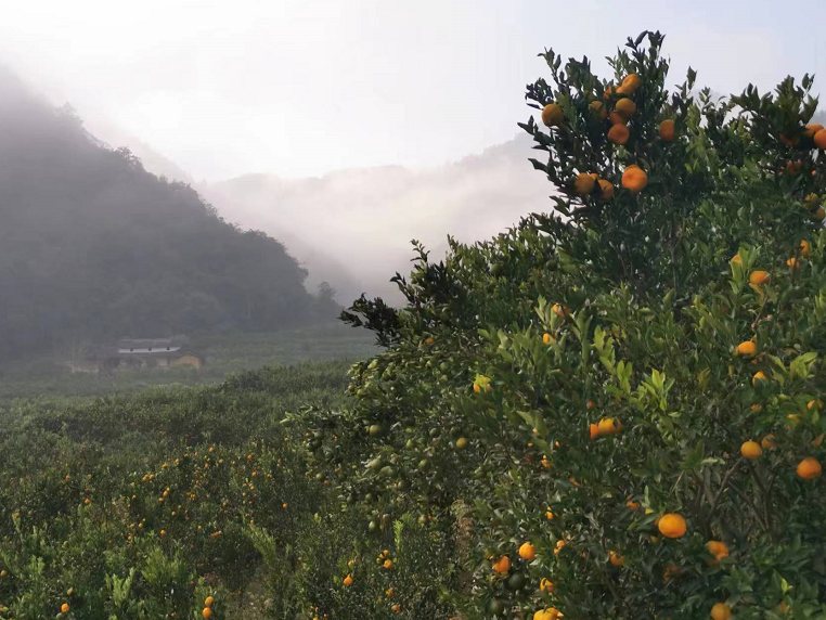 5ca4064f745ea676bae9d86f0cae3bf9