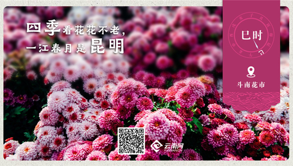 海报｜昆明十二时辰-【巳时】