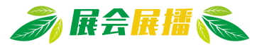 展会展播