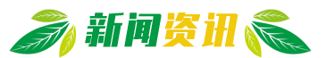 新闻资讯
