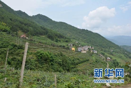 1122833993_15263505477431n