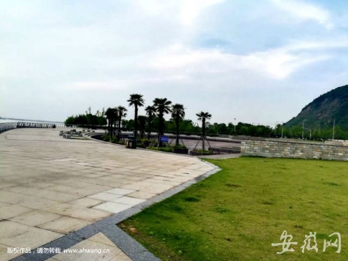 31a8f1622e35d2a0a9f5d2d83933314b