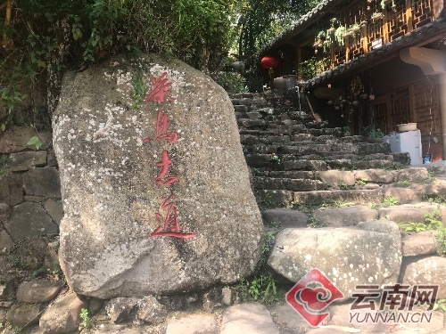 d8cb8a0c68b41c6691325a