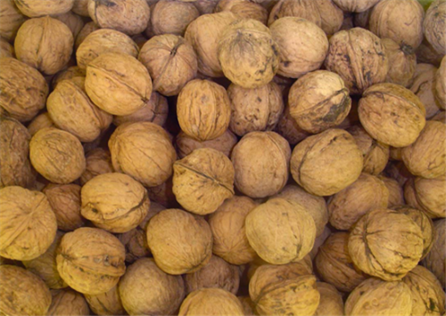 收购的核桃原材料