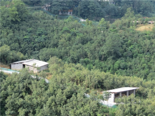 微信图片_20180601170220