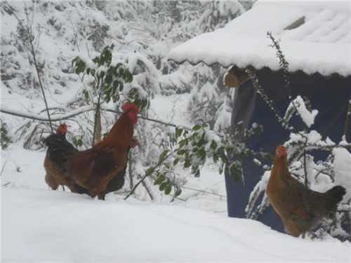 微信图片_20180601170238