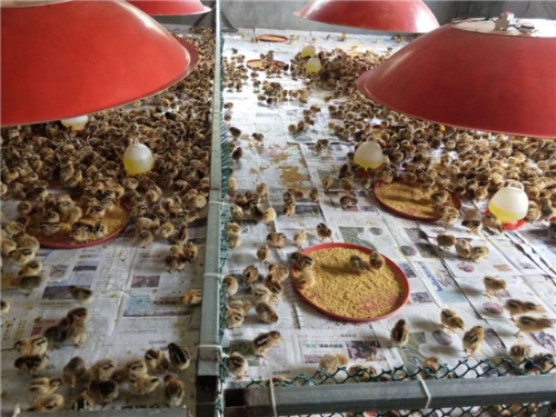 微信图片_20180601170245