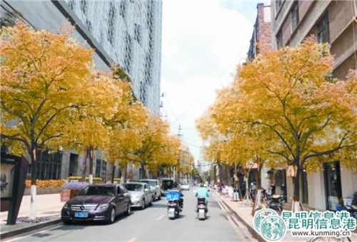 90fba6114c631b7c682813