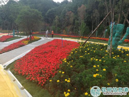 QQ__20180622213121 QQ__20180622213121