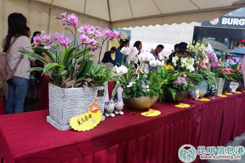 鲜花赠送市民。 鲜花赠送市民。