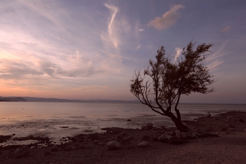 6.《湖滩暮色》贺仁生
