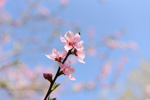 22.《秀》李思贤