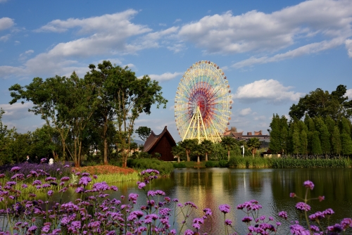 30.繁花似锦、 郑林 摄 手机；13888443546.JPG