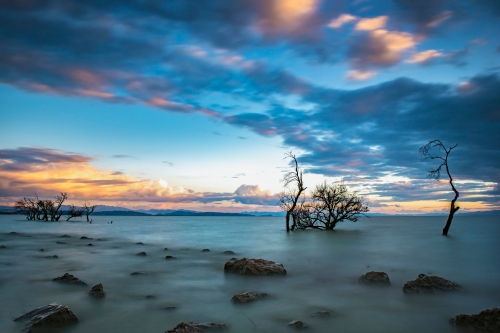 34.郜鸿飞 慢门王官