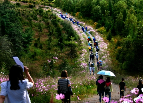 39.唐爱昆 46岁 13759417998 《登山赏花》摄于磷矿职工登上活动.JPG
