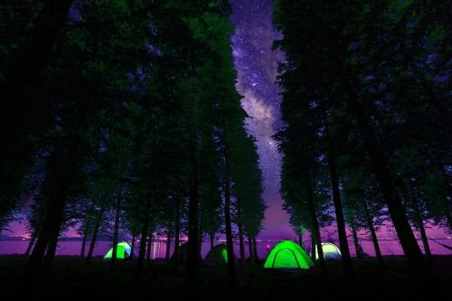 40.万贲 18988480359 滇池夜话  2016.5  晋宁