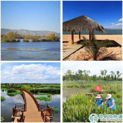 QQ截图20180803175244 QQ截图20180803175244