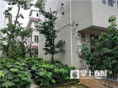 5b6cebedd9cdd 5b6cebedd9cdd