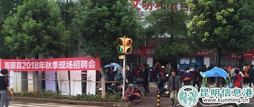 招聘会现场2 招聘会现场2