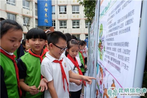 桃园小学4年级学生浏览浏览“心理健康知识”画展 桃园小学4年级学生浏览浏览“心理健康知识”画展