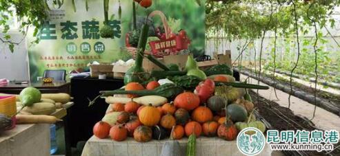 QQ截图20181008215545 QQ截图20181008215545