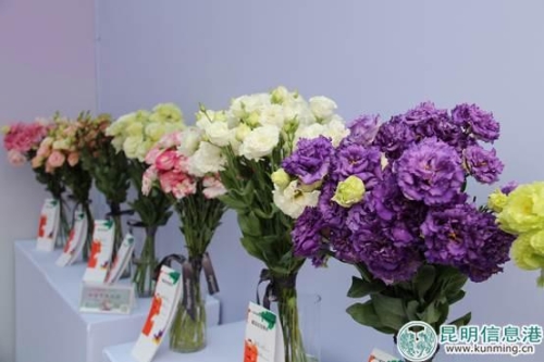 viewfile (2) viewfile (2)