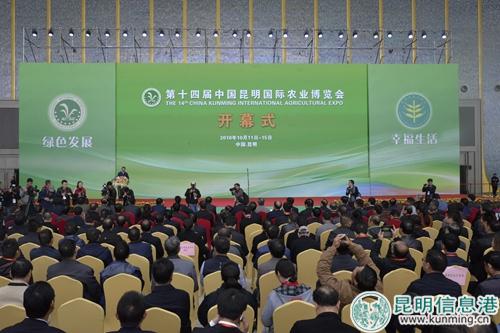 _dsc343110 _dsc343110