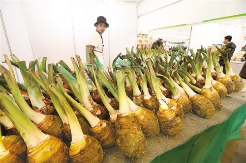 20181012A02_res07_attpic_brief 20181012A02_res07_attpic_brief