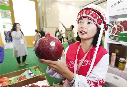 20181012A02_res11_attpic_brief 20181012A02_res11_attpic_brief