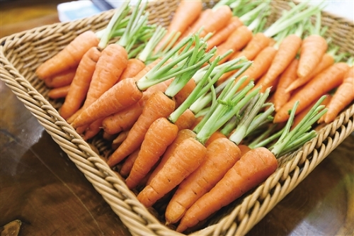 20181012A02_res15_attpic_brief 20181012A02_res15_attpic_brief