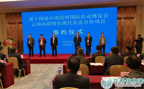 签约仪式现场。供图 签约仪式现场。供图