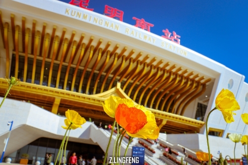 图片类 昆明理工大学 曾龄锋 15687379499 摄影作品