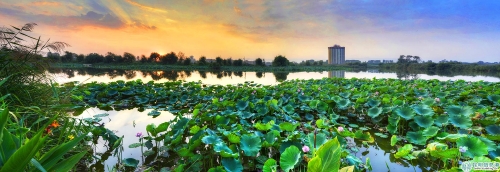 以昆明嘉丽泽为核心的文化旅游度假园区初具规模，嘉丽泽所在的杨林镇成功入选全国第二批特色小镇，目前，嘉丽泽片区与杨林镇形成了“1+1”发展模式，重点打造高原体育运动特色小镇，产业聚集和带动效应将逐步显现。图为昆明嘉丽泽荷花湖。