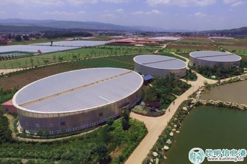 嵩明现代农业科技园区。 嵩明现代农业科技园区。