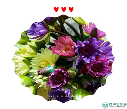 产品图片 产品图片