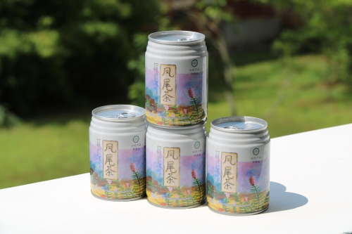 创意组-凤尾茶-项目照片 创意组-凤尾茶-项目照片