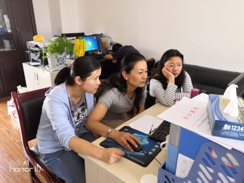 红云统计站调查员进行划分工作3