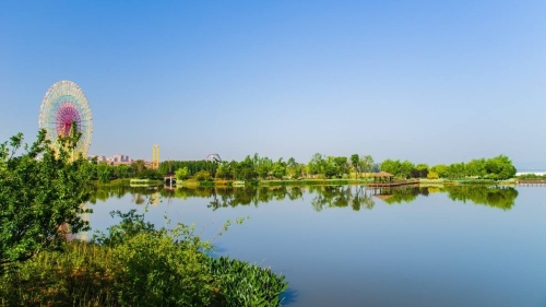 古滇湿地公园1 古滇湿地公园1