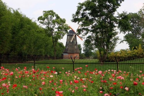 嘉丽泽3 嘉丽泽3