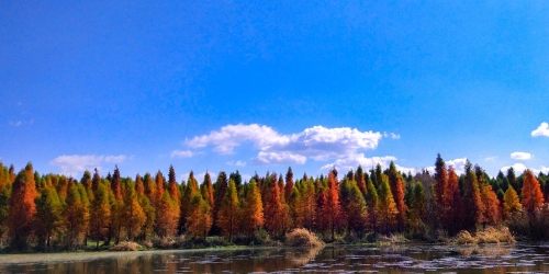 捞鱼河2 捞鱼河2