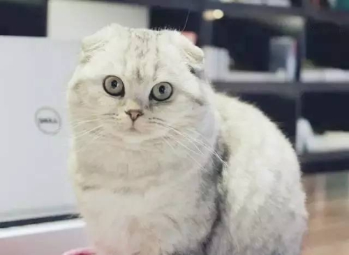 47225d5476ce47c3a655aaf13e6dbf00_th 47225d5476ce47c3a655aaf13e6dbf00_th