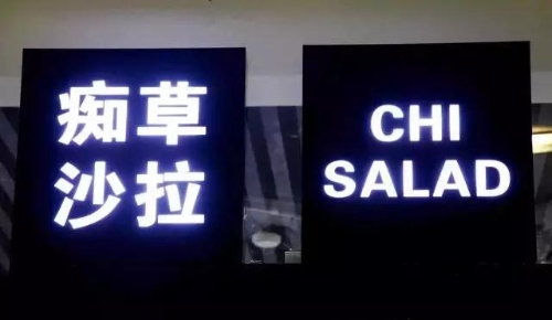 痴草沙拉 (1) 痴草沙拉 (1)